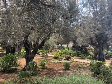Bildquelle: Getsemanie - Originalaufnahme (privat)
